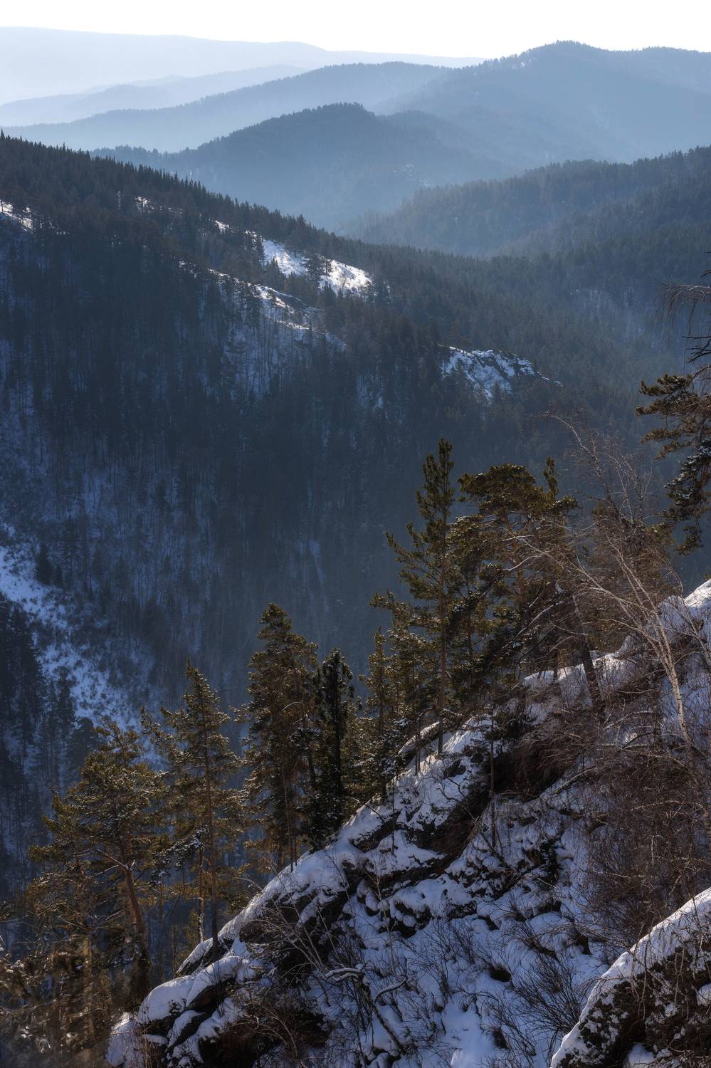 природа, туман, лес, горы,столбы, Иван Грин