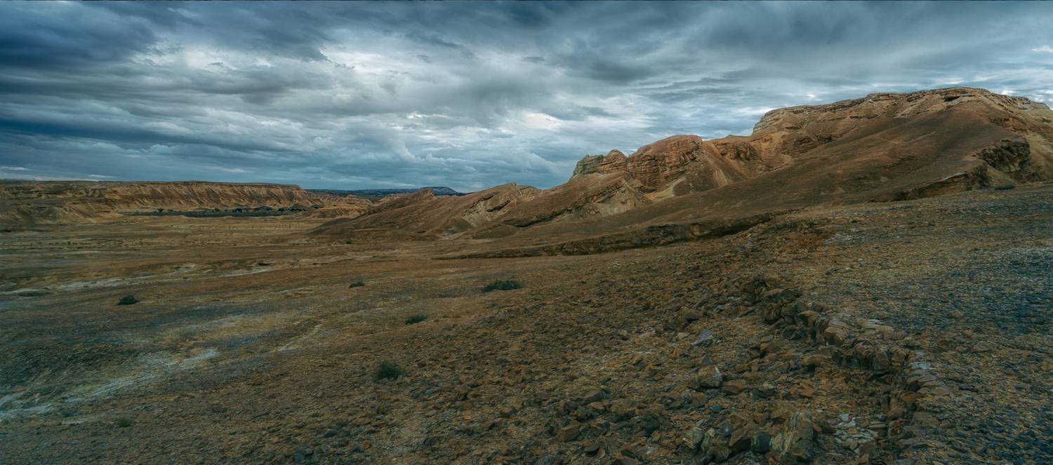 , Шварцман Евгений