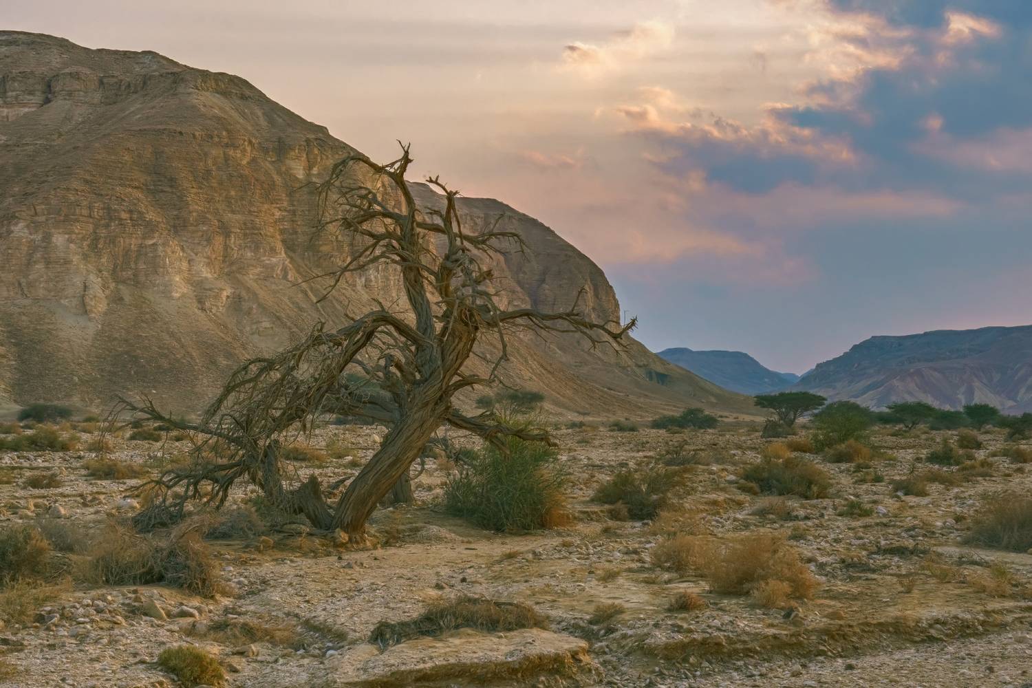 , Шварцман Евгений
