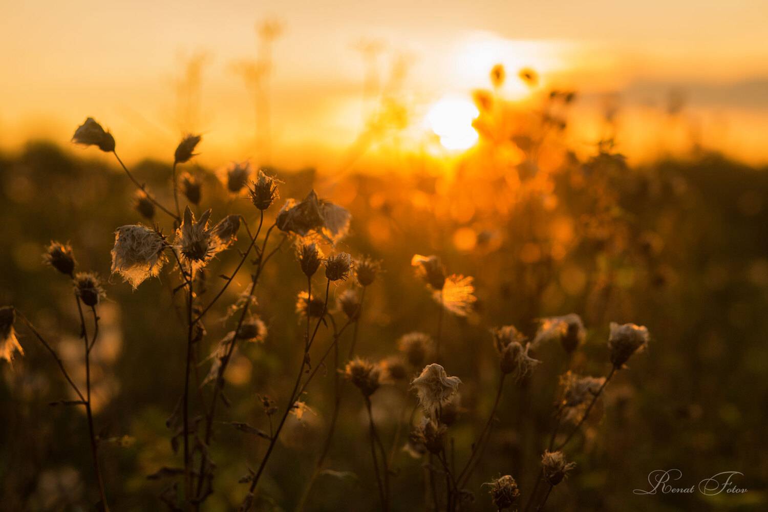 , Фотов Ренат