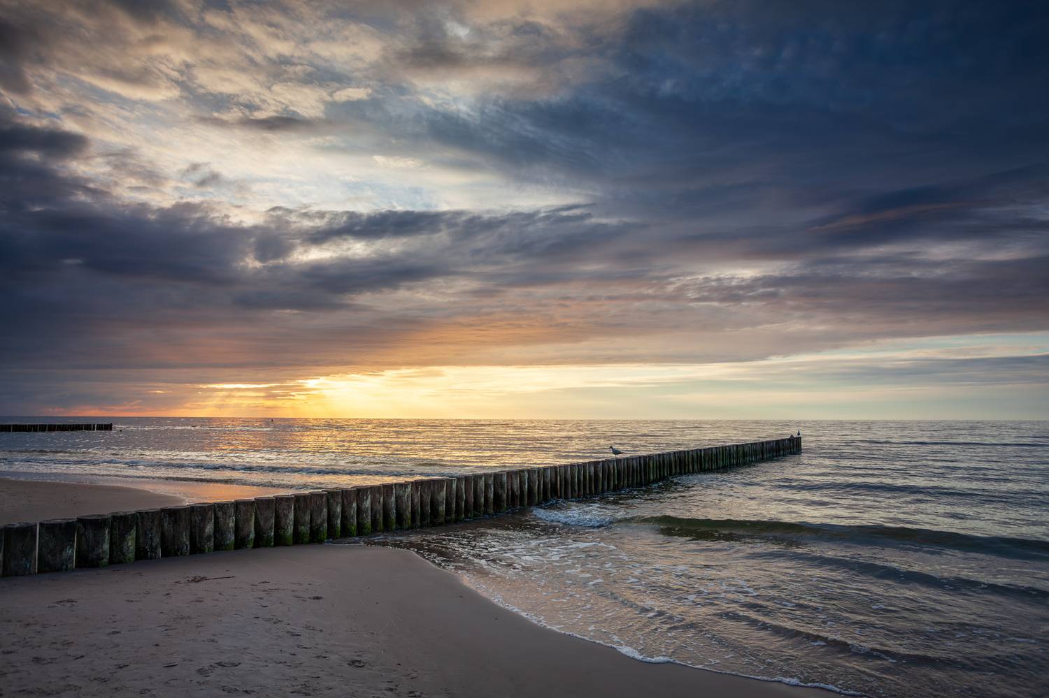 ,  Mirosław Pruchnicki