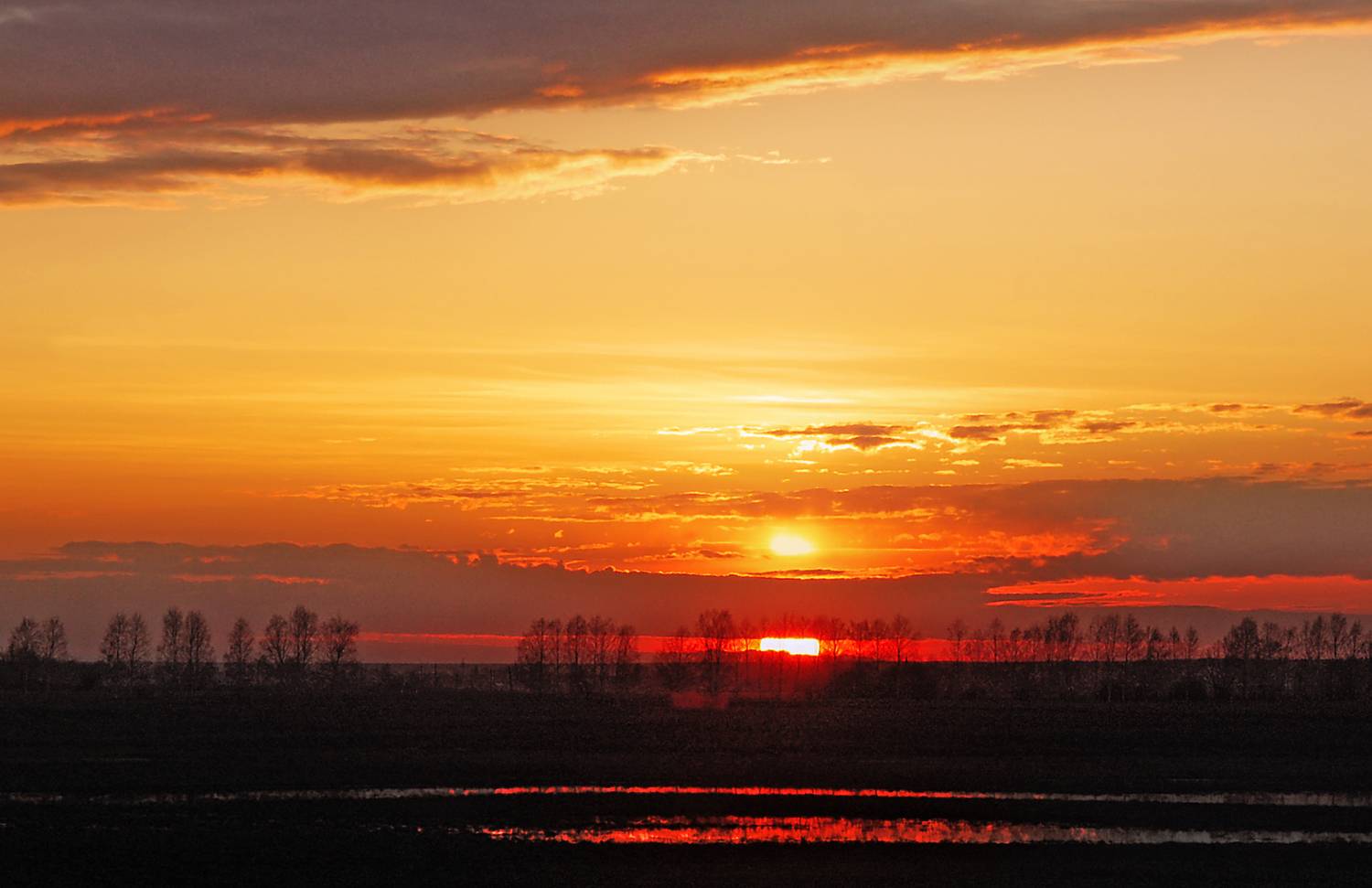 лужи деревья закат облака, Вера Петри