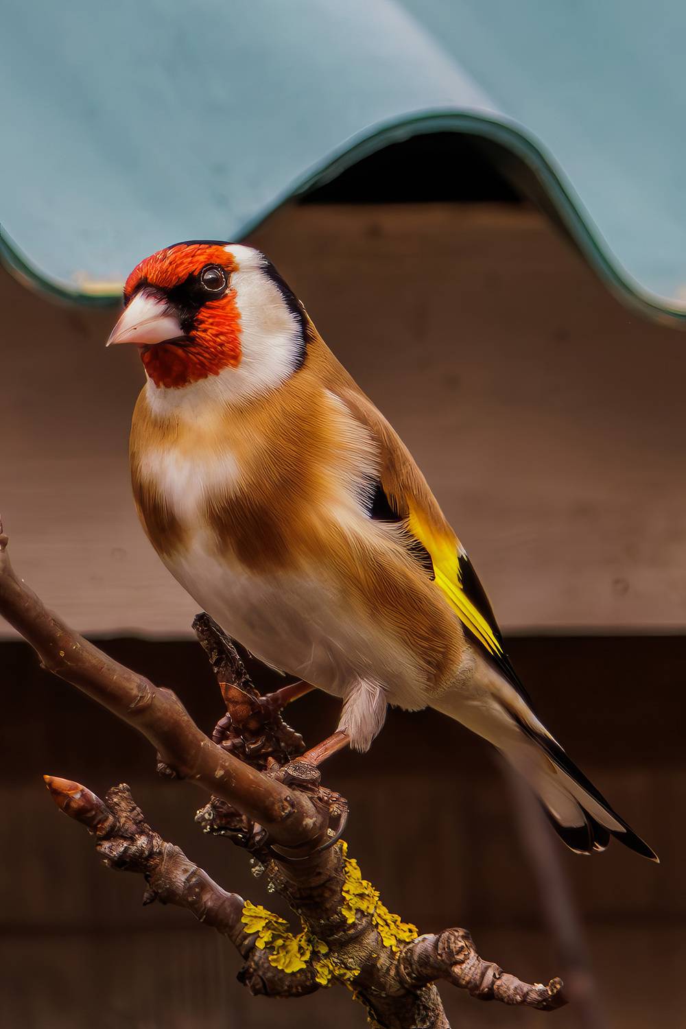 , Морозов Сергей