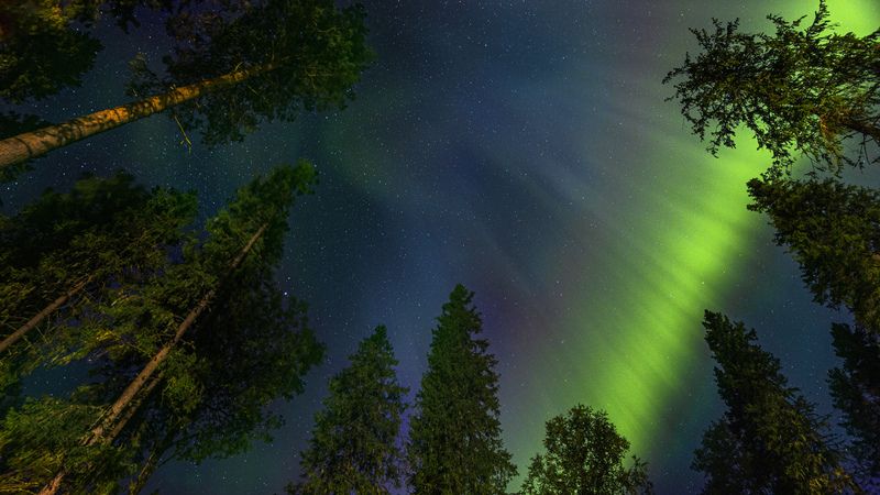Сияние Коми. Нацпарк Койгородский фото превью