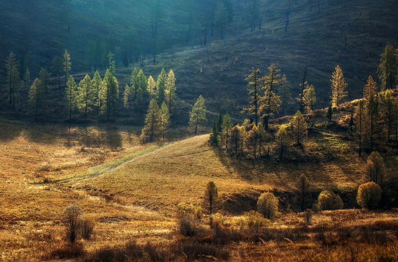 летние закаты  фото превью