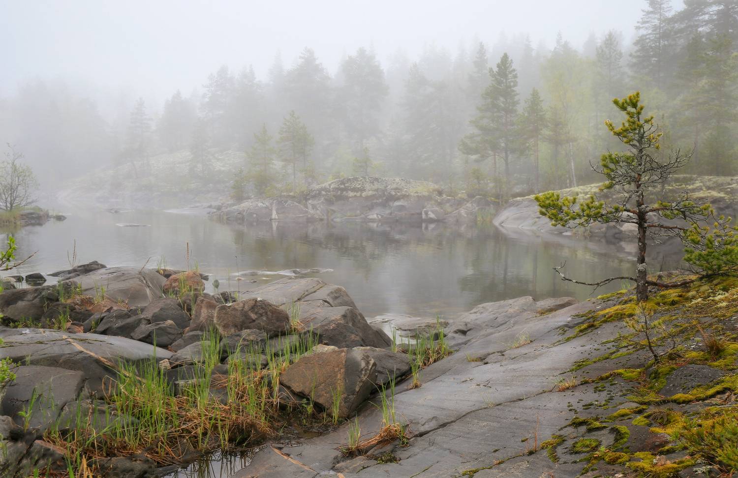 Карелия, Ладога, Ладожские Шхеры, Галина Хвостенко