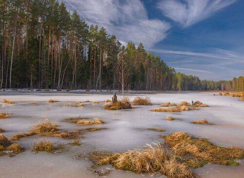 Март, Суходол в солнечный день.