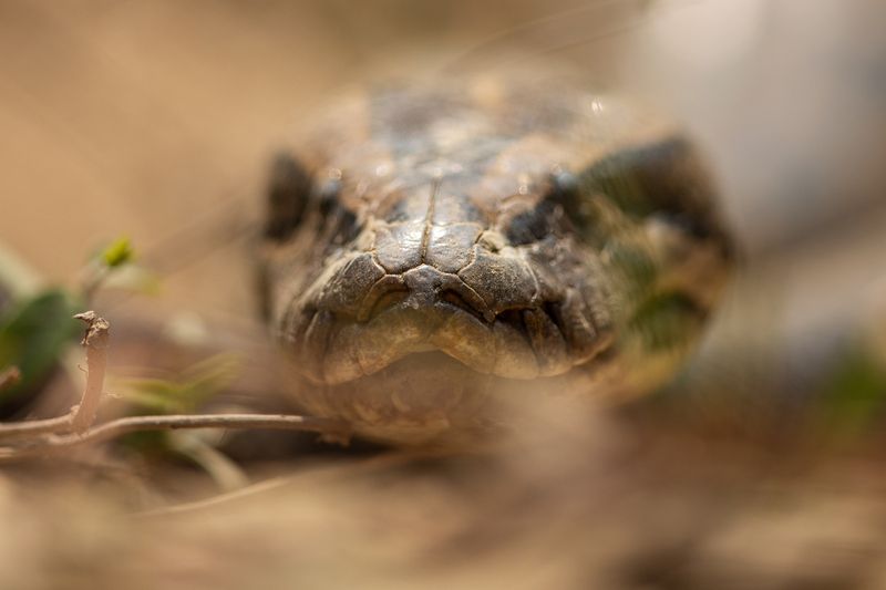 Too Close...... фото превью