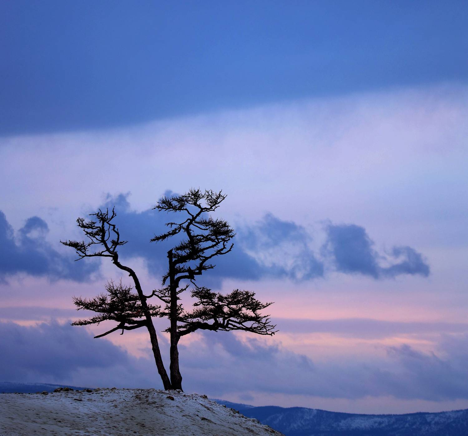 , Павел Мартюшев