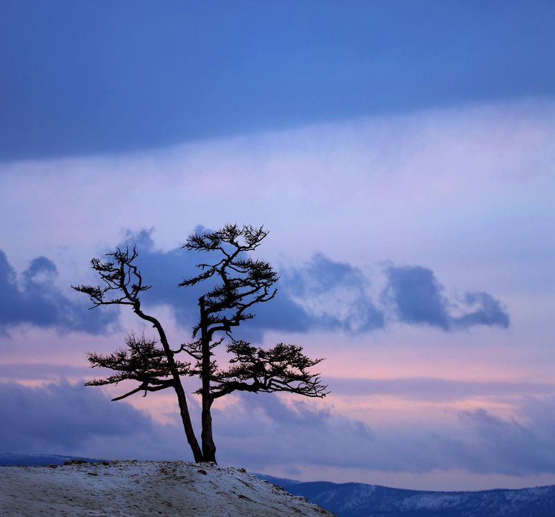 одинокое фото превью