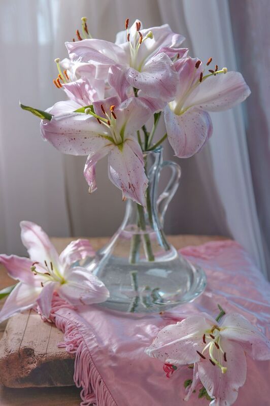 ****** фото превью