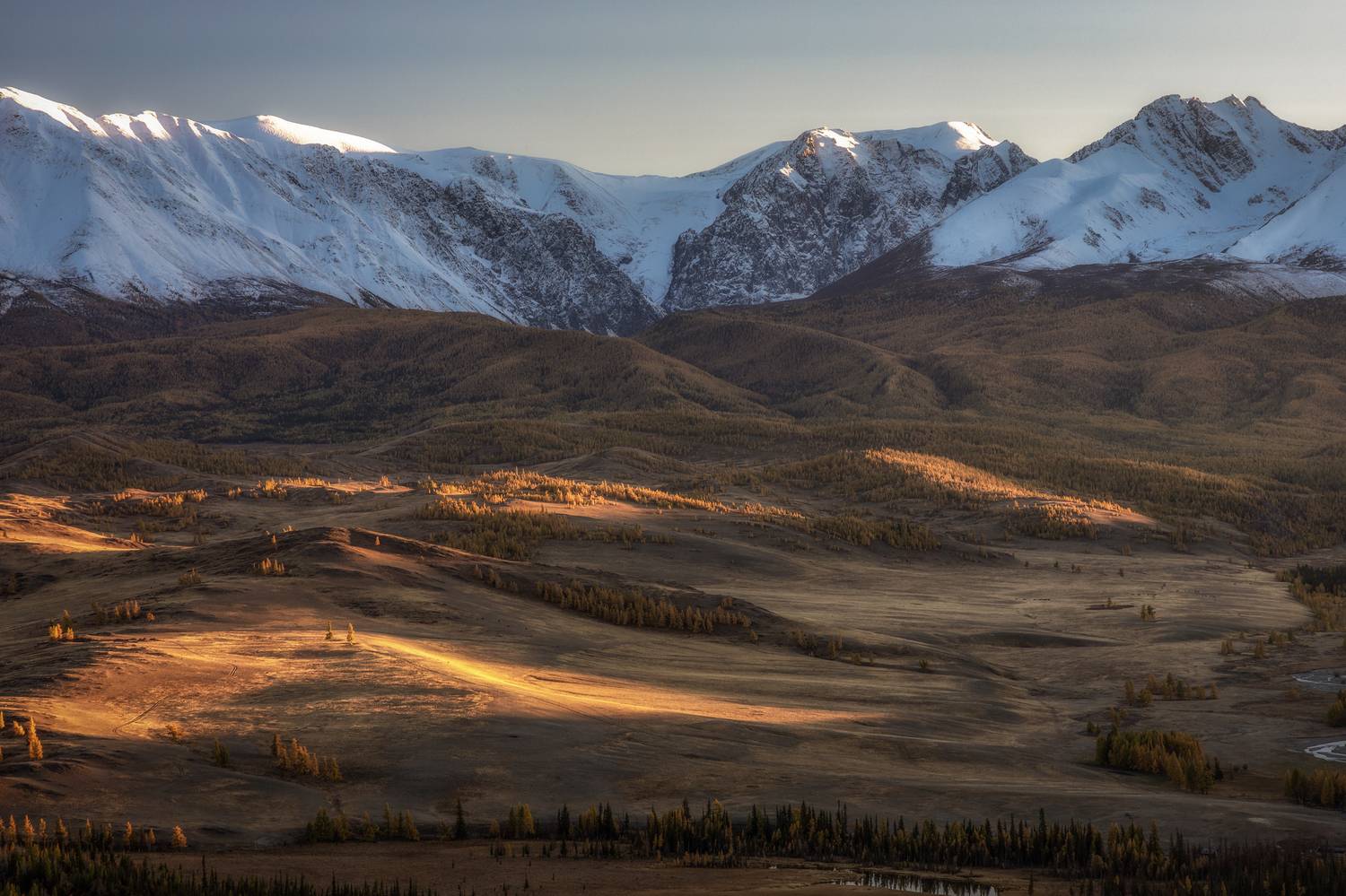 алтай, Гусева Елена