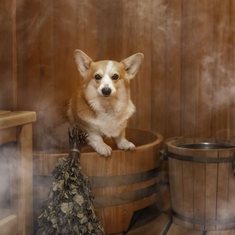 Одни дома фото превью