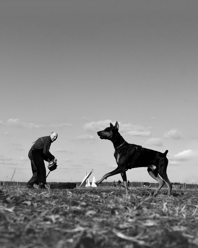 Никого не вижу, ничего не слышу фото превью