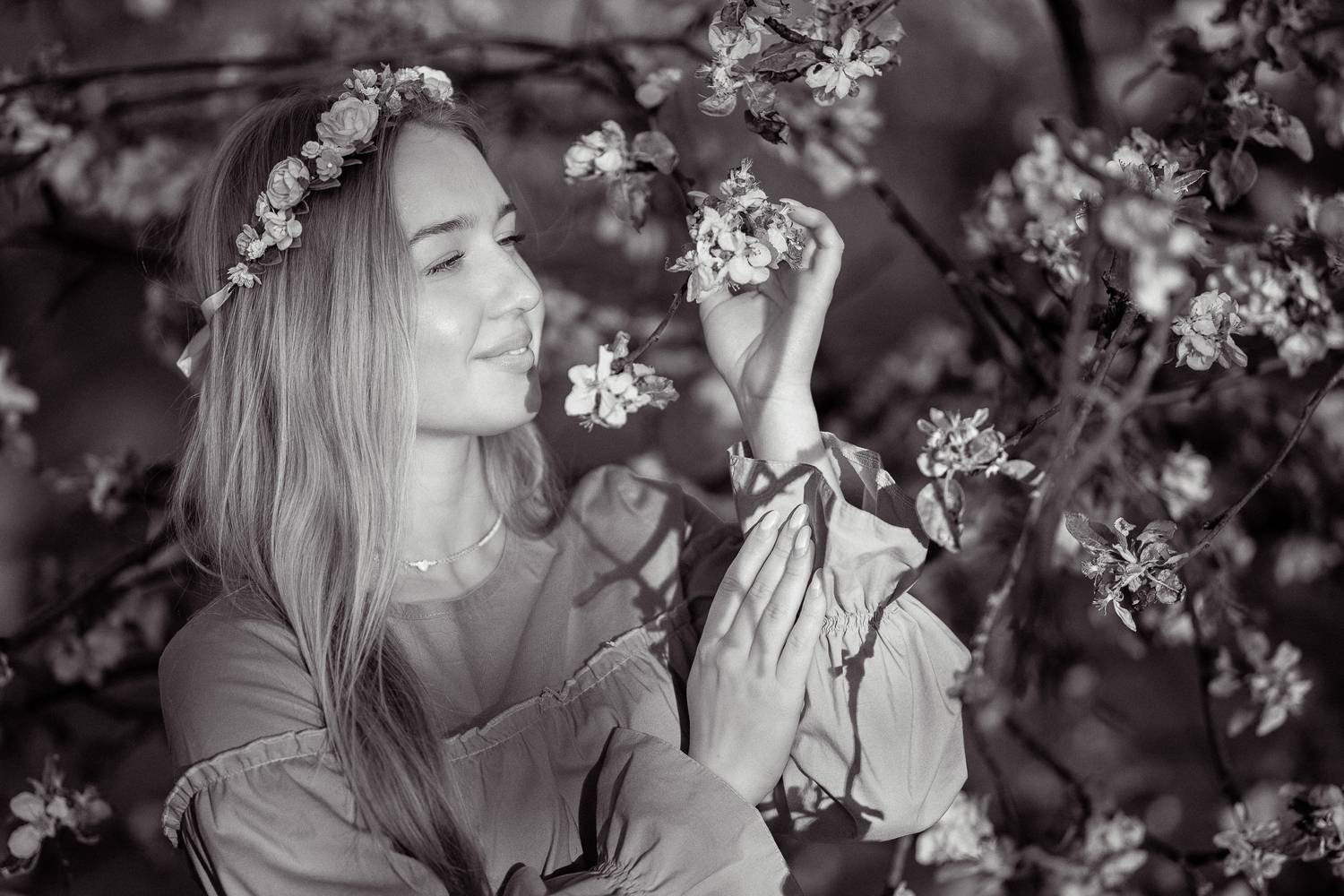 , Дмитрий Счеславский