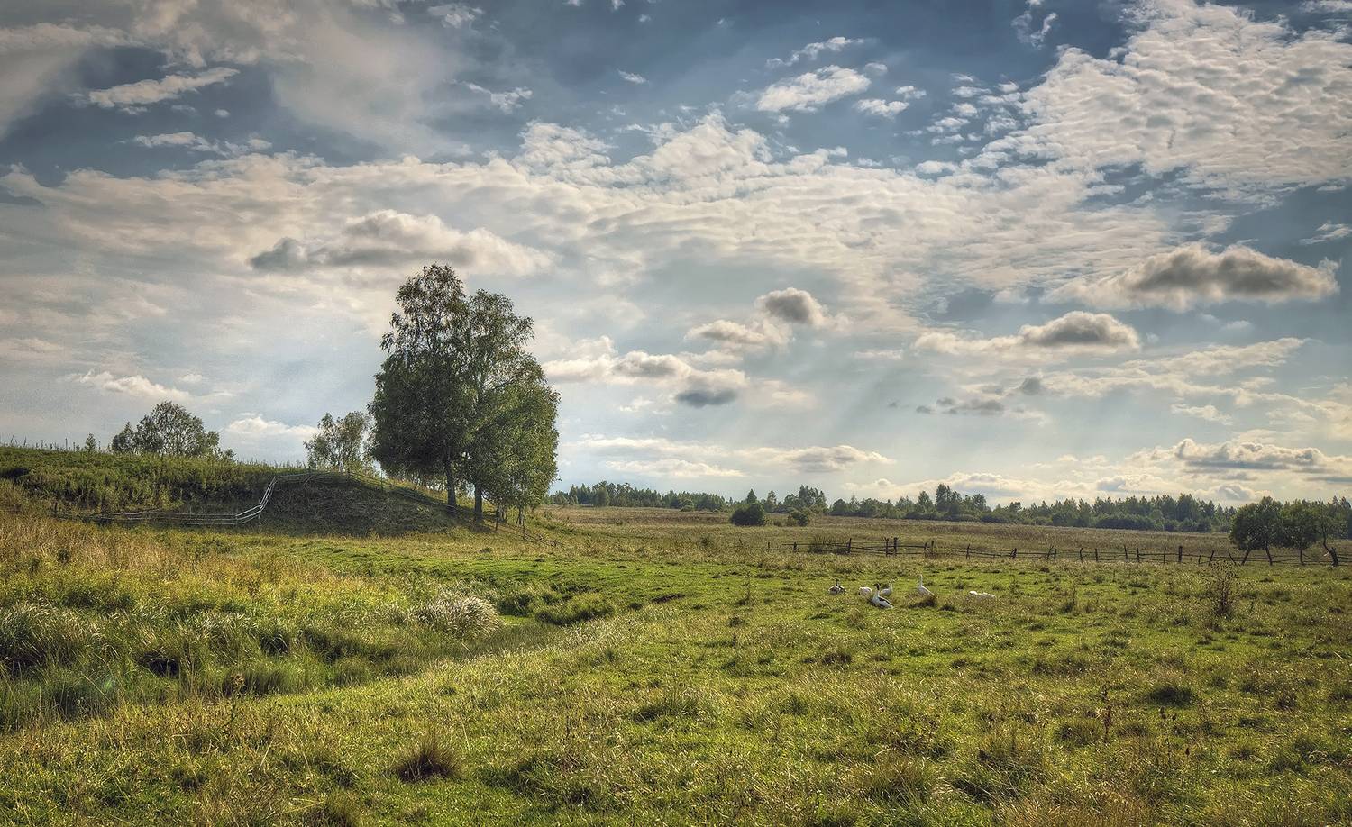 , Сергей Аникин