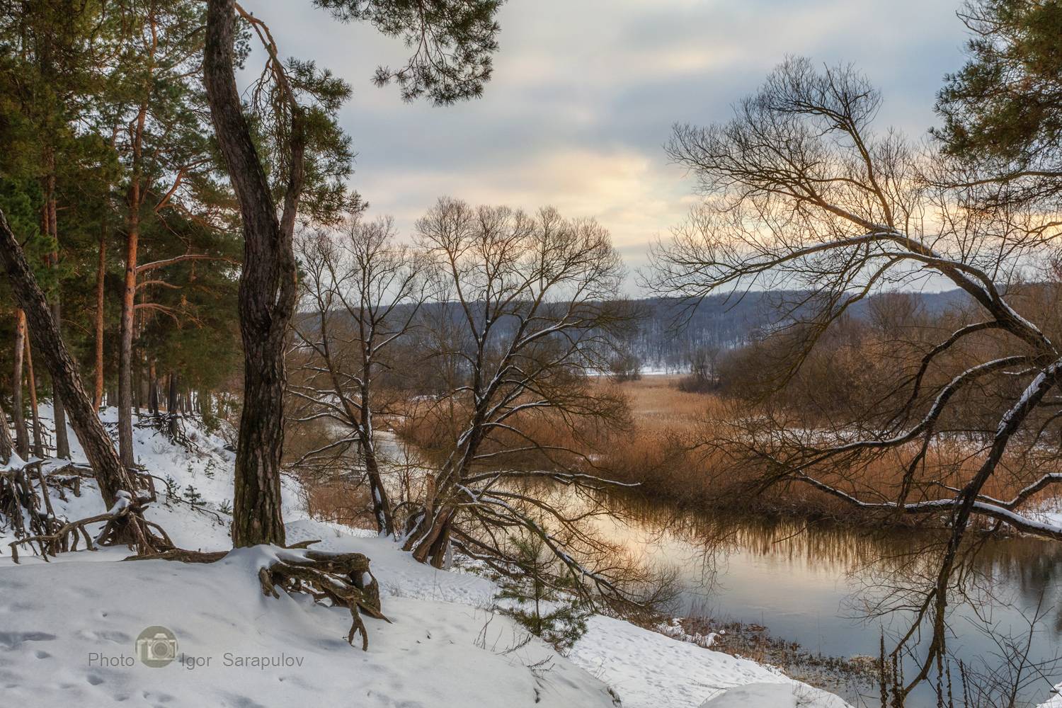 урочище, сосновый лес, сосновый бор, снег, северский донец, река, небо, корни, зима, белгородская область, kwanon photo, Сарапулов Игорь