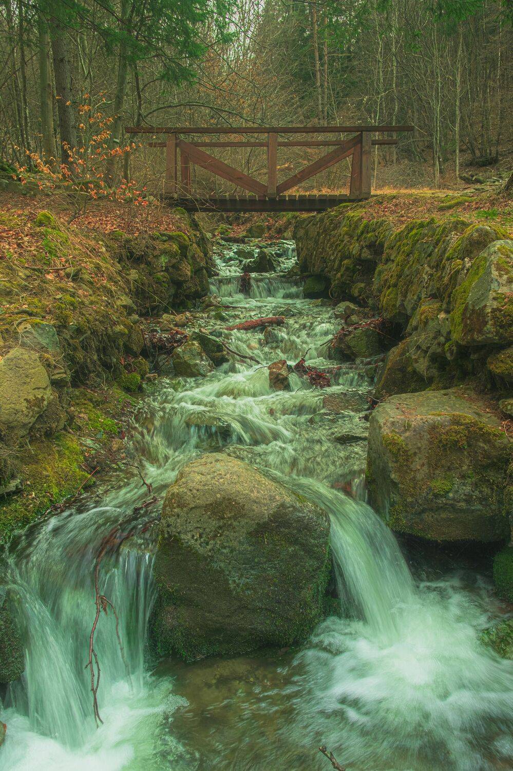 , Николов Андриян