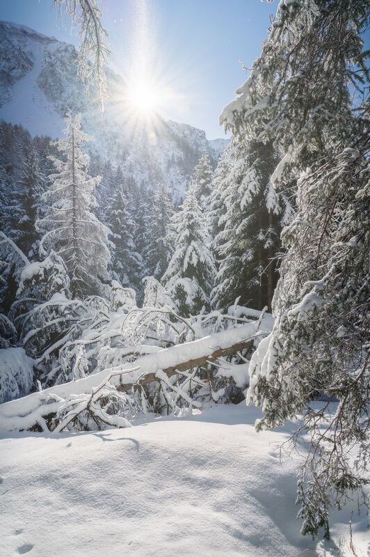 passo del Tonale фото превью