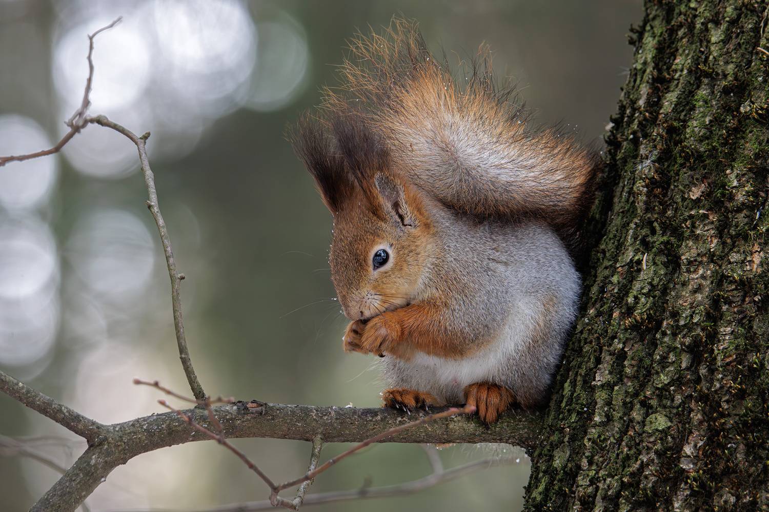 , Морозов Сергей