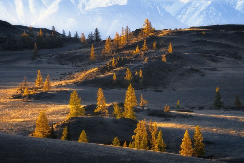 Алтай фото превью