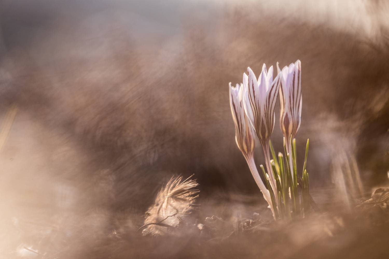 , Илья Михеев