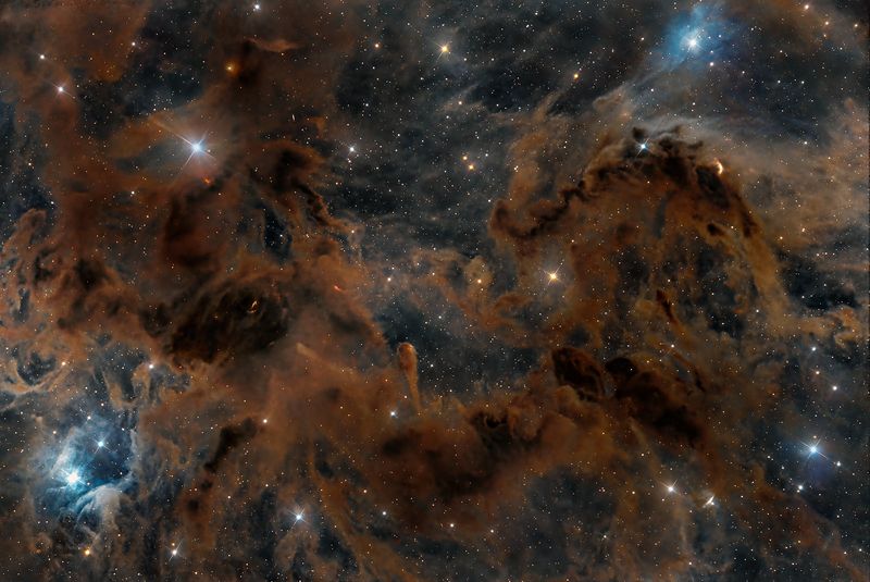 Космический кракен. фото превью