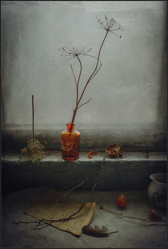 Тихая жизнь.. фото превью