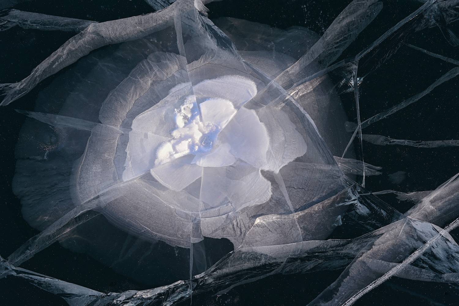 , Марина Никифорова