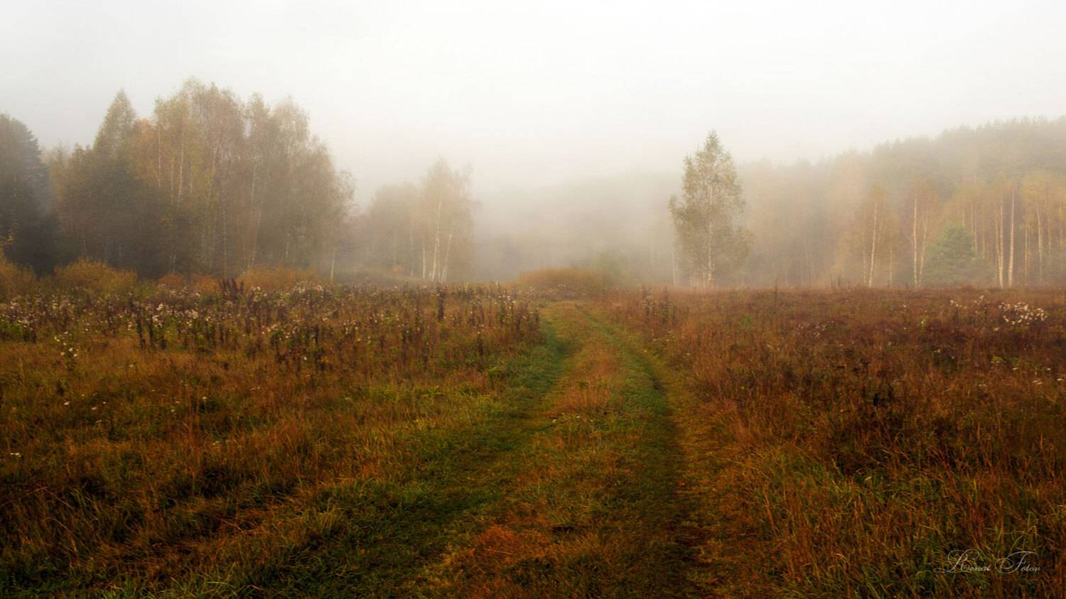 , Фотов Ренат