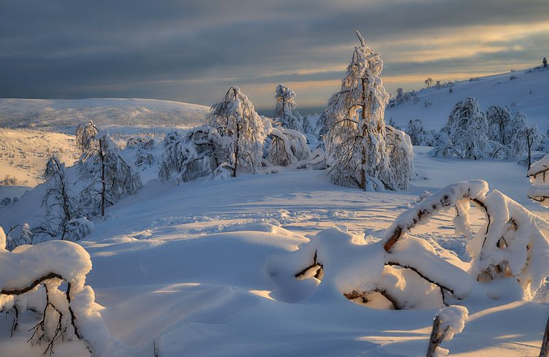 Хибинское кружево. фото превью