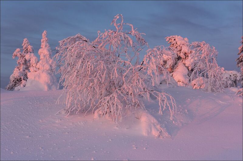 Заполярье в феврале (продолжение) фото превью