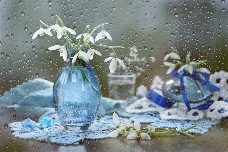 весна, цветы, подснежники, ваза Подснежники фото превью