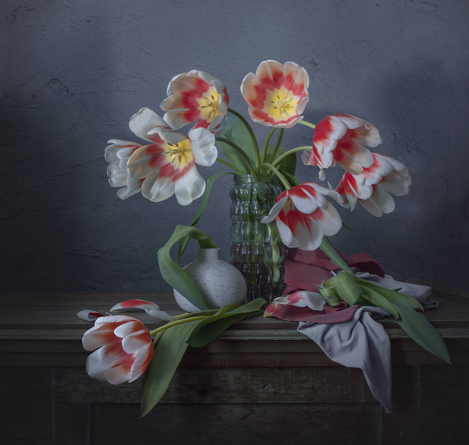 , Шипунова Ирина