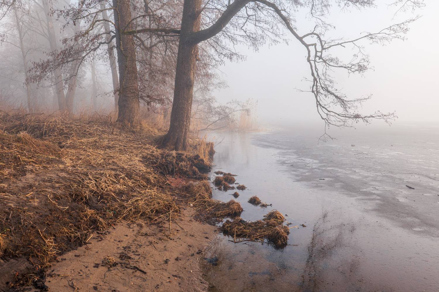 , Гордон Николай