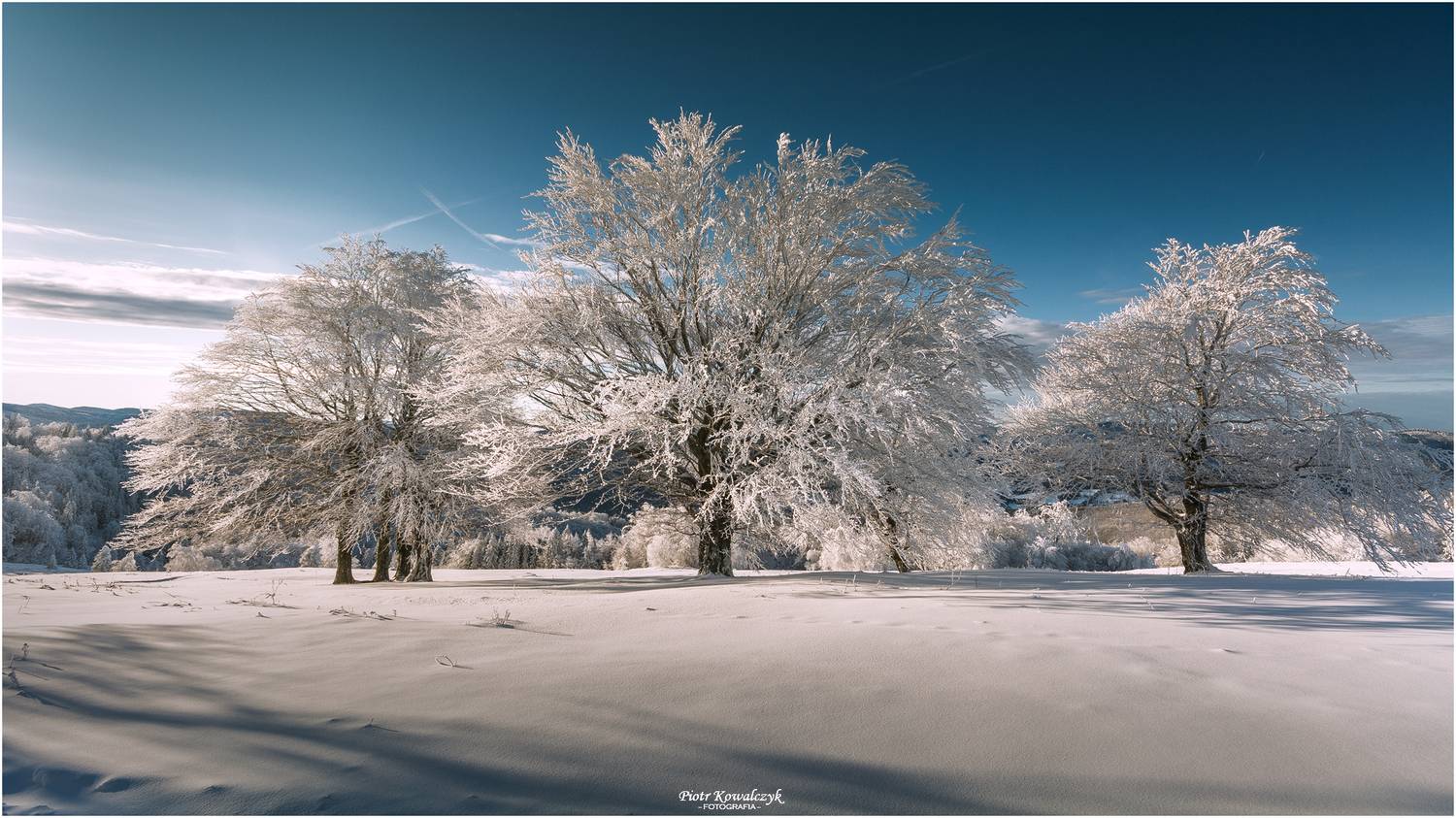 polska, zima, drzewo, Kowalczyk Piotr