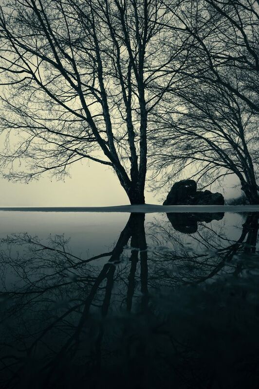 Mysterious evening фото превью