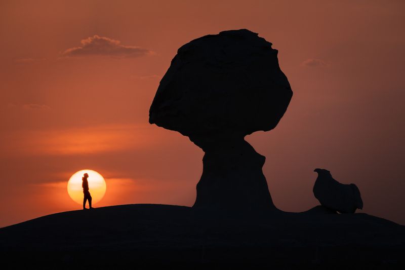 Белая пустыня. Гриб, цыпленок, бедуин фото превью