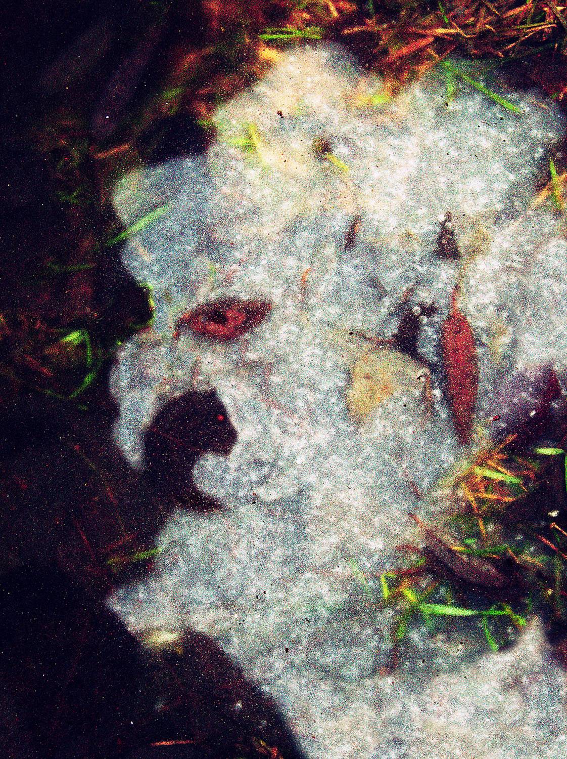 pareidolia, Илья Веулоп