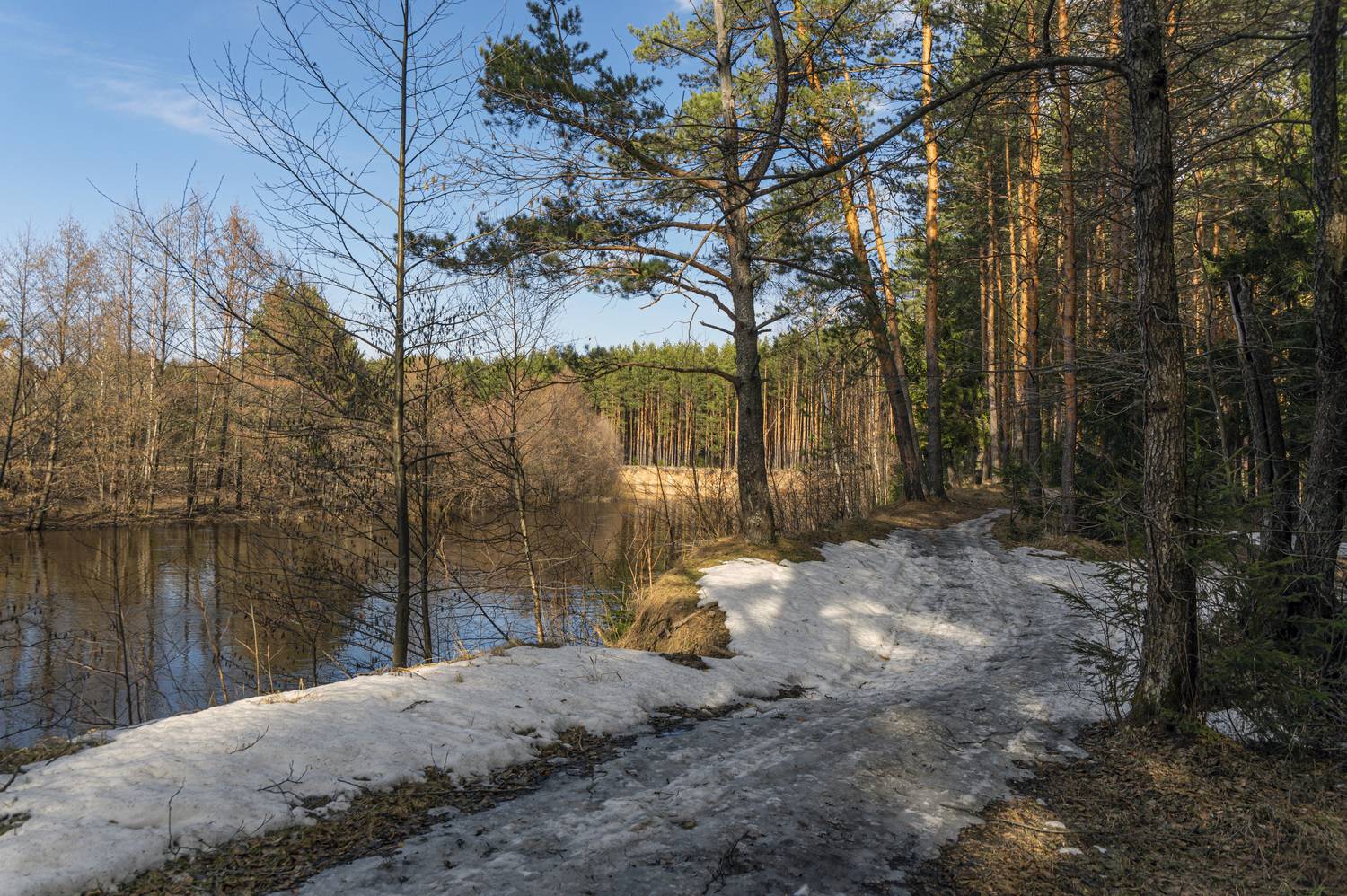 , Шитов Александр