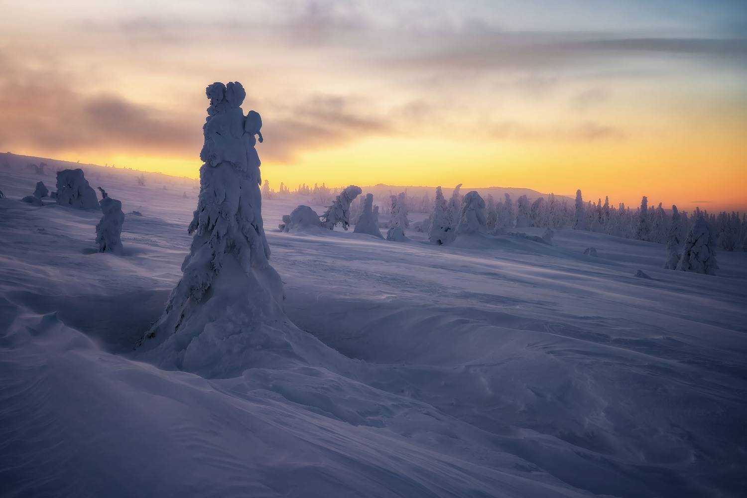 , Сергей Межин