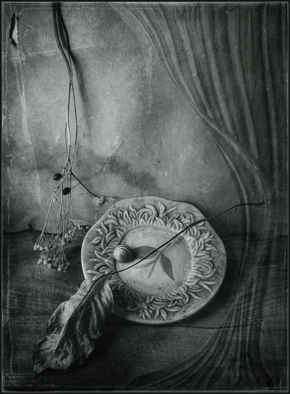* * * фото превью