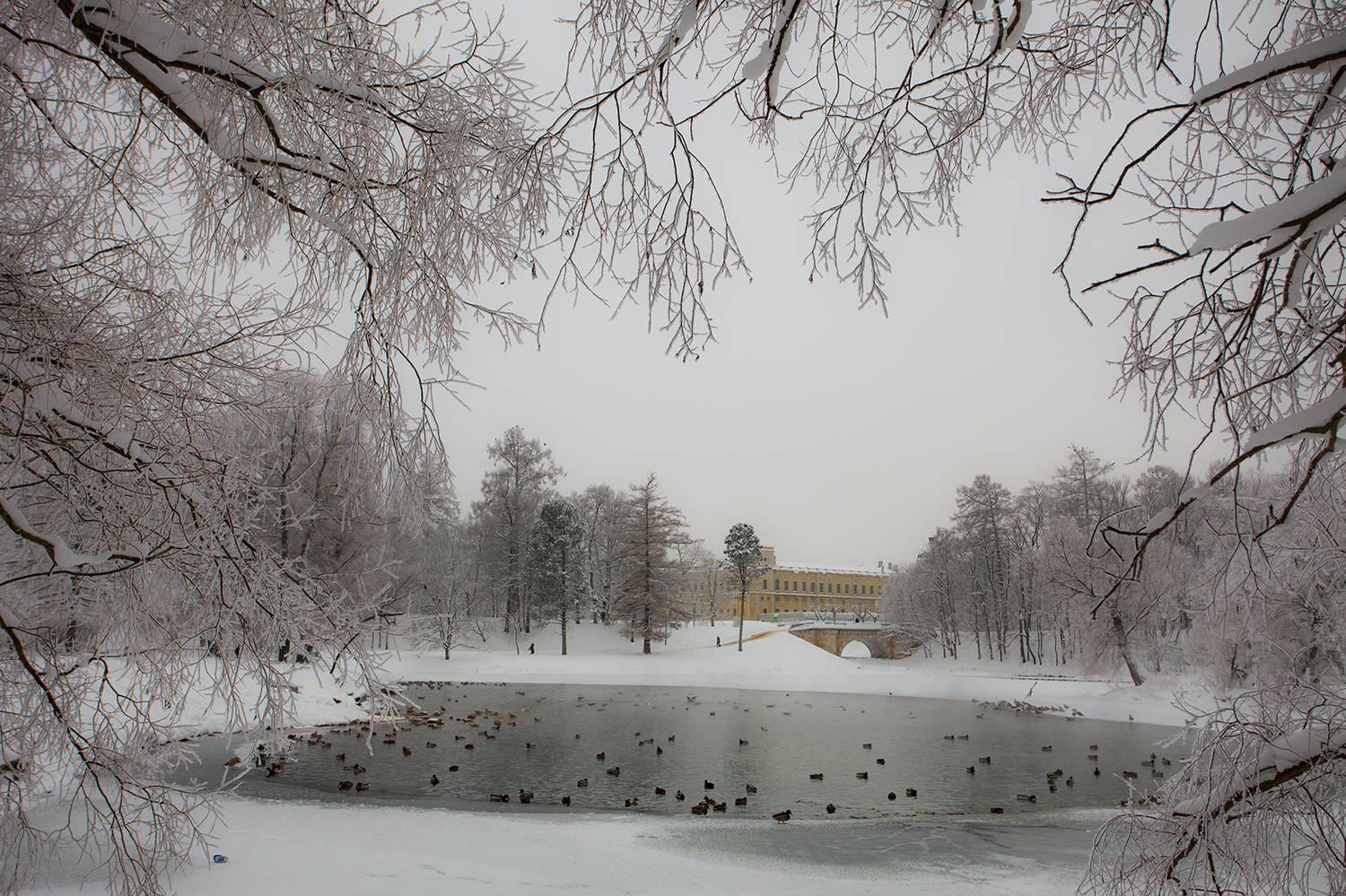 ,  александр михайлов