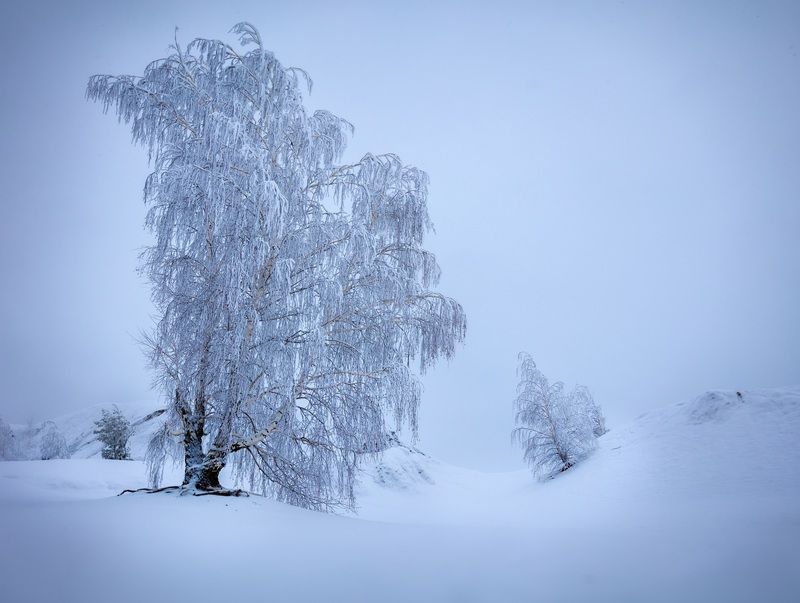 кондуки зимой, зима в кондуках, Меланхолия фото превью