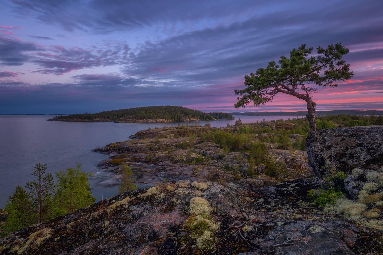 , Евдокимов Максим