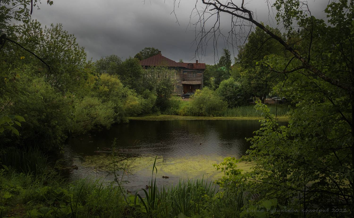 кологрив, город, костромская область, Елена Рубинская