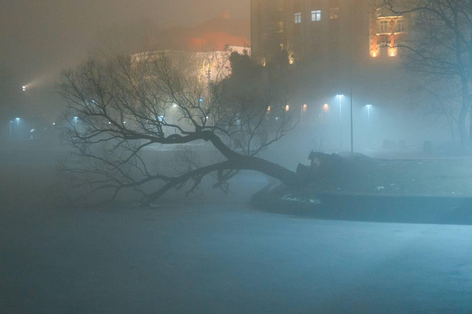 калининград, ночь, туман, свет, тени, Popoff Dmitry