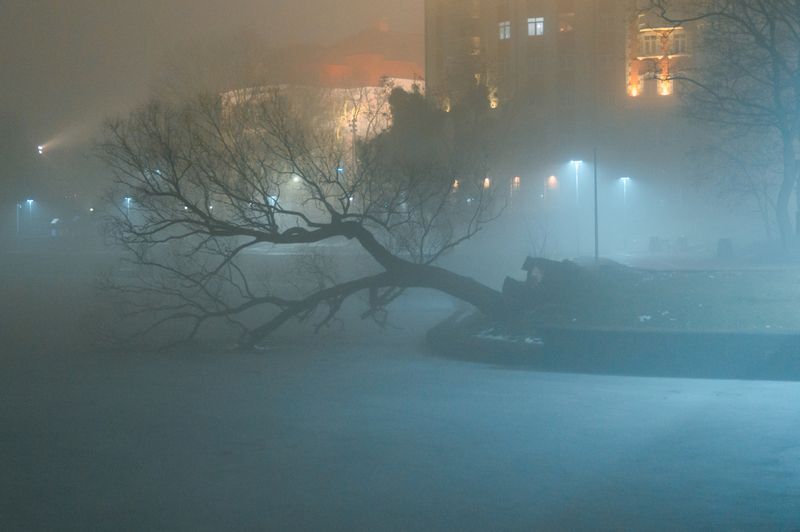 калининград, ночь, туман, свет, тени  фото превью