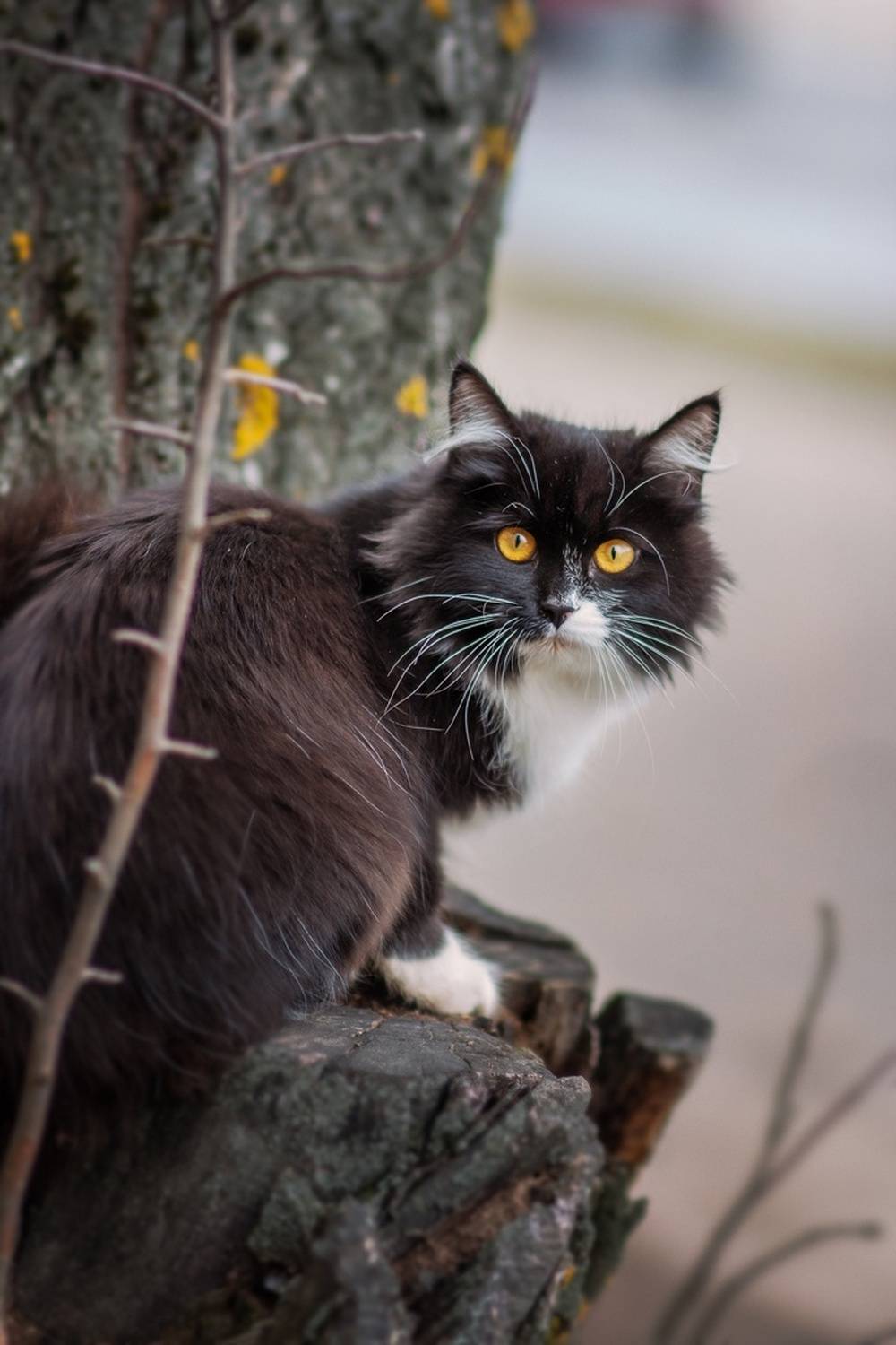 , Наталия Матвеева