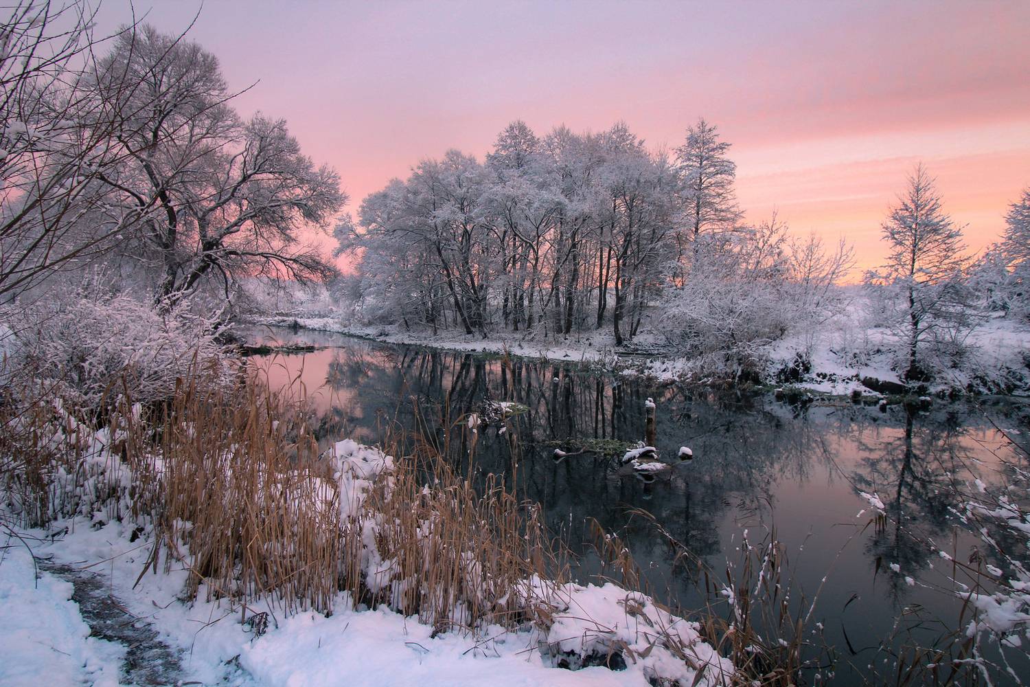 , Игорь Денисов